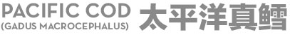 太平洋真鱈